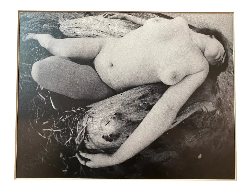 Lawrence Shustak (1926-2003) - Female nude, Image 1++